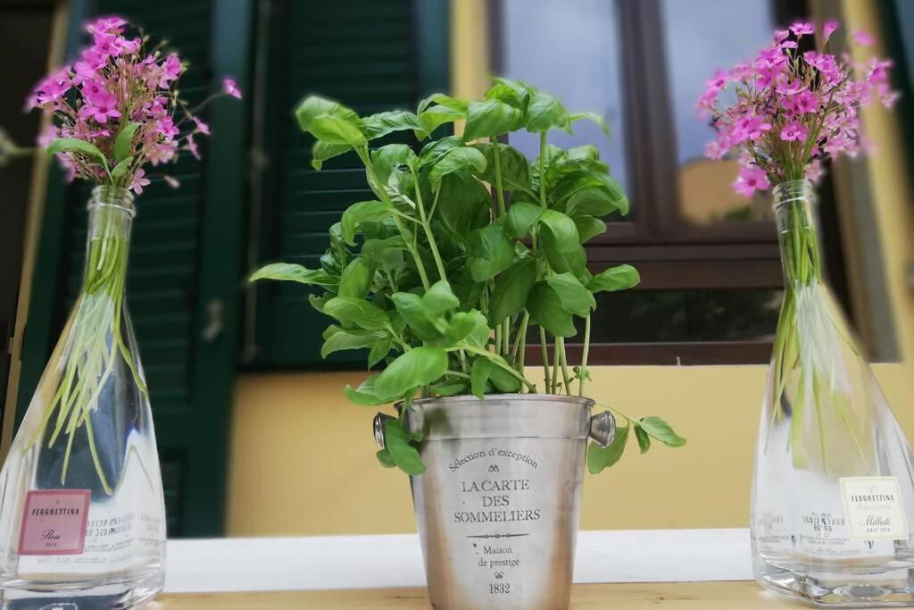 Flower Garden Apartment Vicino Al Centro ฟลอเรนซ์ ภายนอก รูปภาพ